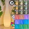 Dalon Lámpara de pie para exterior, Lámpara de pie LED Blanca, 1 luz, Mando a distancia