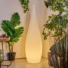 Dalon Lámpara de pie para exterior, Lámpara de pie LED Blanca, 1 luz, Mando a distancia