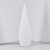 Dalon Lámpara de pie para exterior, Lámpara de pie LED Blanca, 1 luz, Mando a distancia