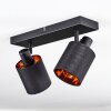 Fallhagen Plafones, Spot techo Negro, 2 luces