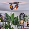 Fallhagen Plafones, Spot techo Negro, 2 luces