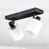 Fallhagen Plafones, Spot techo Negro, 2 luces Fallhagen Plafones, Spot techo Negro, 2 luces