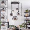 Ripoll Lámparas suspendidas, Luminarias esféricas, Lámparas colgantes Transparente, Ahumado, 5 luces