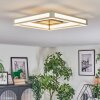 Danor Plafones LED Níquel-mate, 1 luz