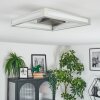 Danor Plafones LED Níquel-mate, 1 luz