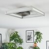 Danor Plafones LED Níquel-mate, 1 luz
