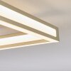 Danor Plafones LED Níquel-mate, 1 luz