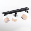 Fallhagen Plafones, Spot techo Negro, 3 luces