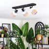 Fallhagen Plafones, Spot techo Negro, 3 luces