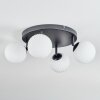 Chehalis Plafones, Luminarias esféricas Blanca, 4 luces