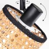 Ramila Plafones, Spot techo Negro, 2 luces