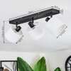 Bassagoda Plafones, Spot techo Negro, 3 luces
