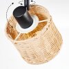 Cavaca Plafones, Spot techo Negro, 3 luces