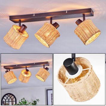 Cavaca Plafones, Spot techo Negro, 3 luces