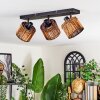Cando Plafones, Spot techo Negro, 3 luces