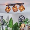 Cando Plafones, Spot techo Negro, 3 luces