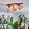 Bongal Plafones, Spot techo Negro, 3 luces