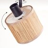 Bongal Plafones, Spot techo Negro, 3 luces