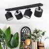 Bassagoda Plafones, Spot techo Negro, 4 luces Bassagoda Plafones, Spot techo Negro, 4 luces
