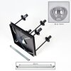Gastor Plafones, Luminarias esféricas Transparente, Ahumado, 5 luces