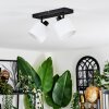 Bassagoda Plafones, Spot techo Negro, 2 luces
