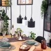 Bassagoda Lámparas suspendidas, Lámparas colgantes Crudo, Negro, 3 luces
