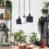 Bassagoda Lámparas suspendidas, Lámparas colgantes Crudo, Negro, 3 luces