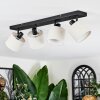 Bassagoda Plafones, Spot techo Negro, 4 luces Bassagoda Plafones, Spot techo Negro, 4 luces