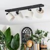 Bassagoda Plafones, Spot techo Negro, 4 luces Bassagoda Plafones, Spot techo Negro, 4 luces