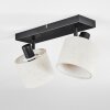 Bassagoda Plafones, Spot techo Negro, 2 luces