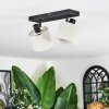 Bassagoda Plafones, Spot techo Negro, 2 luces