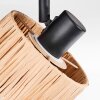 Granja Plafones, Spot techo Negro, 2 luces