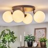 Chehalis Plafones, Luminarias esféricas 30 cm Blanca, 4 luces