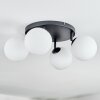 Chehalis Plafones, Luminarias esféricas 30 cm Blanca, 4 luces