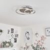 Mohlin Lámpara de Techo LED Níquel-mate, 1 luz