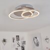 Mohlin Lámpara de Techo LED Níquel-mate, 1 luz