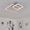 Buren Lámpara de Techo LED Níquel-mate, 1 luz