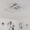 Buren Lámpara de Techo LED Níquel-mate, 1 luz