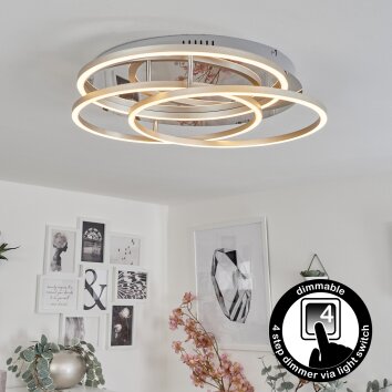 Buren Lámpara de Techo LED Níquel-mate, 1 luz