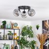 Ripoll Plafones, Luminarias esféricas Transparente, Ahumado, 3 luces