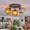 Ripoll Plafones, Luminarias esféricas dorado, Transparente, Color cobre, Ahumado, 3 luces