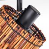 Cando Plafones, Spot techo Negro, 4 luces