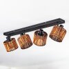 Cando Plafones, Spot techo Negro, 4 luces