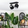 Bassagoda Plafones, Spot techo Negro, 2 luces