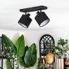 Bassagoda Plafones, Spot techo Negro, 2 luces