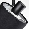 Bassagoda Plafones, Spot techo Negro, 2 luces