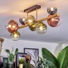 Chehalis Plafones, Luminarias esféricas dorado, Negro, 8 luces