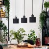 Bassagoda Lámparas suspendidas, Lámparas colgantes Crudo, Negro, 3 luces