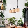 Bongal Lámparas suspendidas, Lámparas colgantes Crudo, Negro, 3 luces