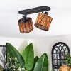 Cando Plafones, Spot techo Negro, 2 luces